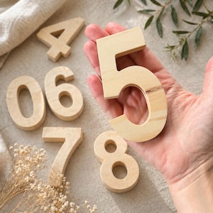 May include: A collection of light-colored wooden numbers including 4, 0, 6, 7, 8, and a large number 5. Each digit features a smooth, natural wood grain finish with a flat front and thick sides, showcasing the distinct shape of each individual numeral.