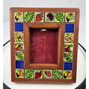 Tropisk kakelbildram papegoja apa fjäril trädekor