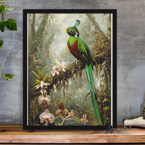Impression de la jungle du Quetzal mystique : oeuvre d&#39;art murale latino-américaine (téléchargement numérique 16 x 61 cm)