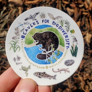 Beavers for Biodiversity Sticker - Featuring plants and animals that live in beaver wetlands for wildlife and ecology nerds