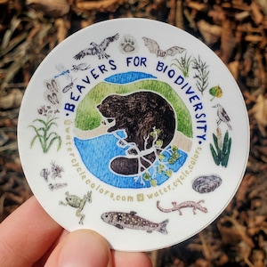 Beavers for Biodiversity Sticker - Watercolor, Wildlife, Ecology, Art