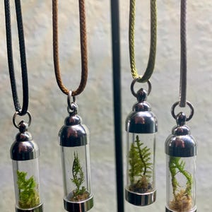 Terrarium Necklace, Mini Live Moss, Jewelry Gift, Glass Moss Pendant, Green Plant Necklace, Nature Inspired Pendant, Real Moss Jewel, Plants