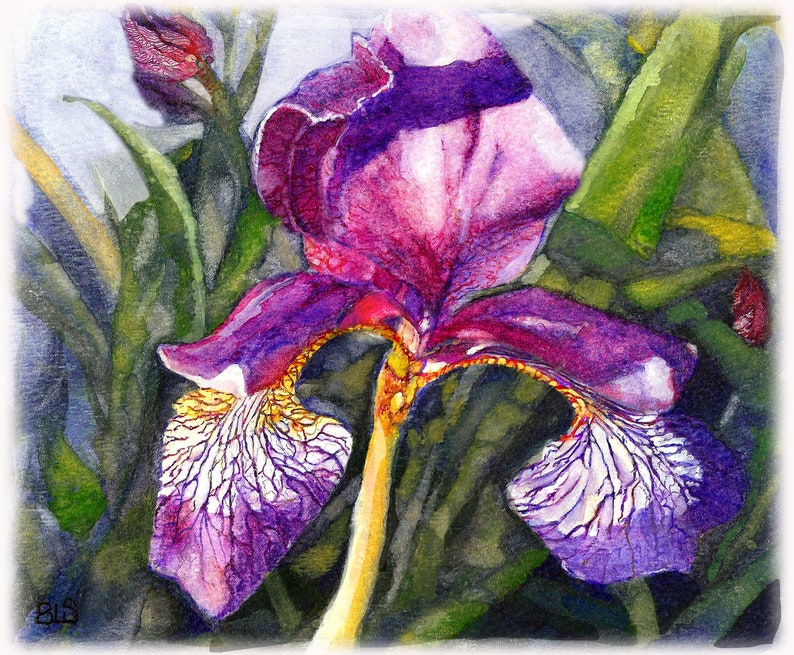 Purple IRIS Blank Note Cards & Envelopes 4.25 X - Etsy Ireland