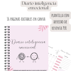 Emotional intelligence diary, emotion diary, mental health plan, emotional support, self-regulation in adults