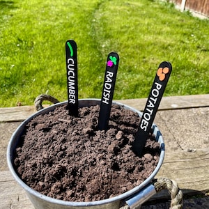 May include: Three black plant markers with white text and colorful icons. The markers are labeled "Cucumber", "Radish", and "Potatoes". The markers are stuck in a pot of dark brown soil.