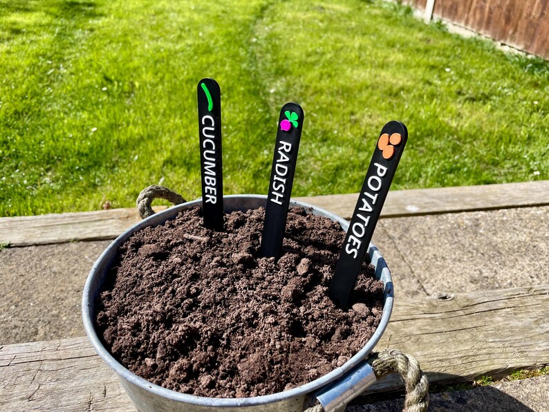 May include: Three black plant markers with white text and colorful icons. The markers are labeled "Cucumber", "Radish", and "Potatoes". The markers are stuck in a pot of dark brown soil.