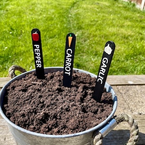 May include: Three black plant markers with white text and colorful icons. The markers read "Pepper", "Carrot", and "Garlic". The markers are stuck in a pot of dark brown soil.
