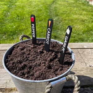 May include: Three black plant markers with white text and colorful icons. The markers are labeled "Pepper", "Carrot", and "Garlic". The markers are in a metal bucket filled with dark brown soil.