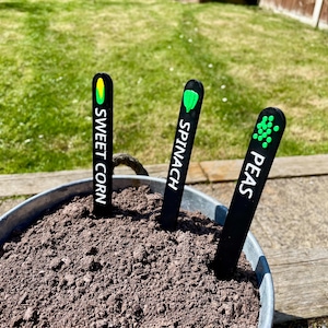 May include: Three black plant markers with white text and green icons. The markers are labeled "Sweet Corn", "Spinach", and "Peas". The markers are in a pot of soil.