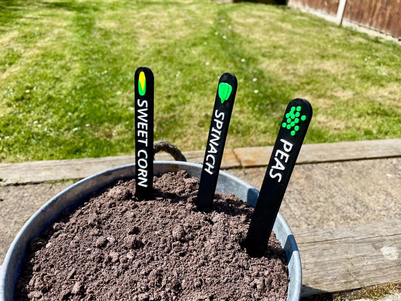 May include: Three black plant markers with white text and green icons. The markers are labeled "Sweet Corn", "Spinach", and "Peas". The markers are in a pot of soil.