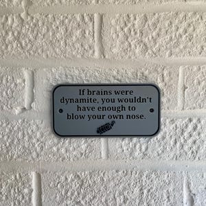 K&ouml;nnte beinhalten: Ein rechteckiges, graues Metallschild mit abgerundeten Ecken ist an einer wei&szlig;en Backsteinmauer befestigt. Das Schild zeigt den Text: "If brains were dynamite, you wouldn't have enough to blow your own nose."