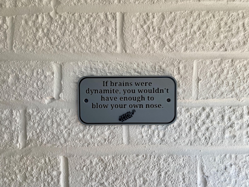 K&ouml;nnte beinhalten: Ein rechteckiges, graues Metallschild mit abgerundeten Ecken ist an einer wei&szlig;en Backsteinmauer befestigt. Das Schild zeigt den Text: "If brains were dynamite, you wouldn't have enough to blow your own nose."