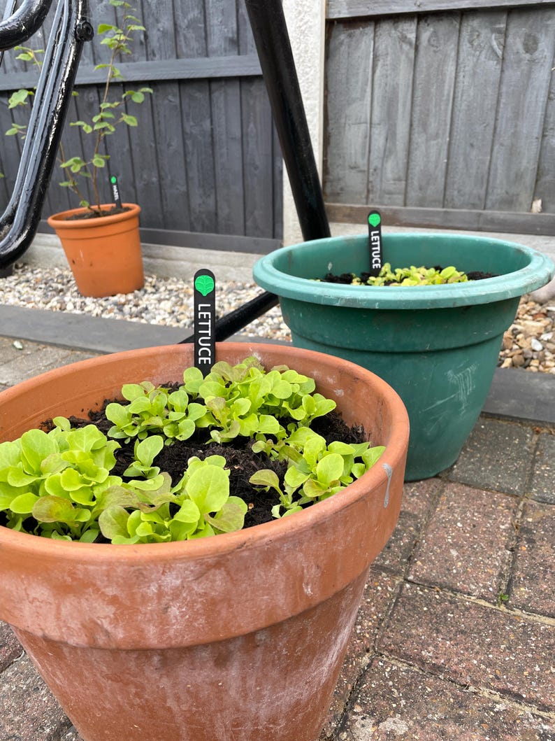 Vegetable Plant Sign Markers | Allotment Garden | Seedling Label | Gift Present for Gardener | Mum Dad Retirement | New Home | Green Fingers image 3
