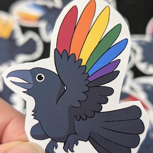 May include: A black crow with rainbow feathers on its wings. The crow is facing left and has its wings spread out. The crow is on a white background.