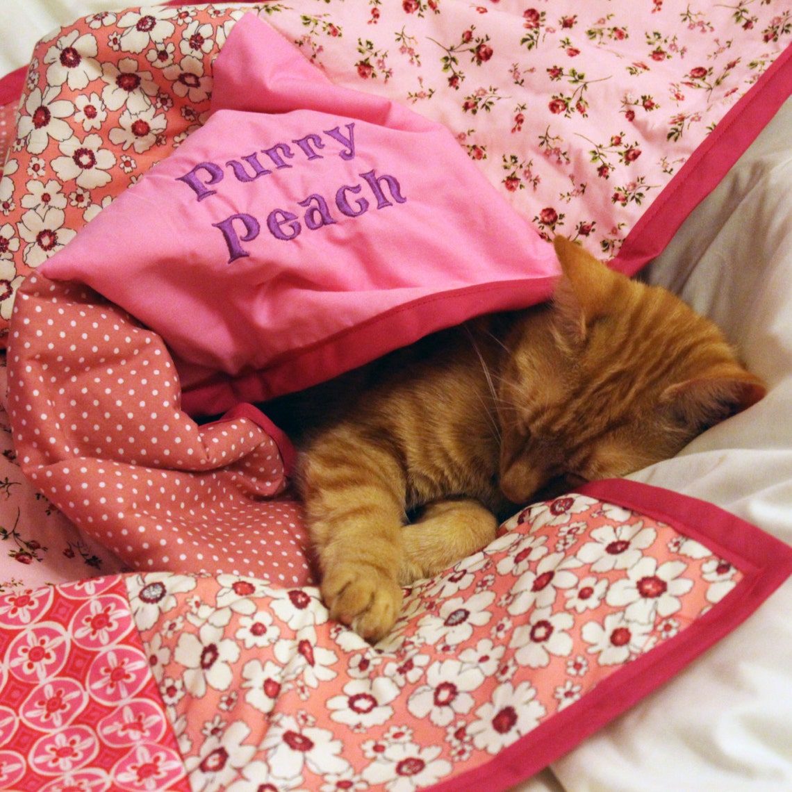 Cat Blanket / Pet Blanket / Pet Accessories / Kitten Blanket / Etsy