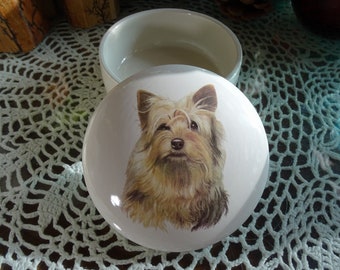 One Gorgeous Yorkie!! Ceramic 4 Inch Button /Jewelry/Paperclip Box
