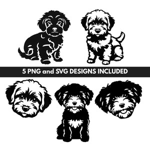 Yorkipoo SVG Bundle | Puppy PNG Canva Template Design | Dog Clipart Face for Cricut