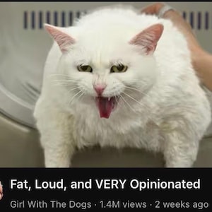 Puede incluir: Un juego de tres cuencos de cerámica anidados en tonos azules, verdes y blancos. Los cuencos presentan un esmalte moteado y un diseño sencillo y moderno. El cuenco más grande tiene aproximadamente 18 cm de diámetro.