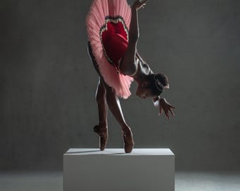 Ingrid Silva Autographed pointe shoes