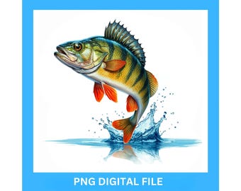Perch Fish PNG Digital Design, Perch Clipart for T-Shirts & Sweatshirts, Angler Gift, Fishing Lover Printable Artwork, Instant Download