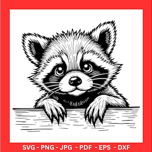 Raccoon Peeking SVG PNG, Clipart for Cricut & Sublimation, Raccoon Cutting File, Raccoon Head Illustration, Printable Animal Design