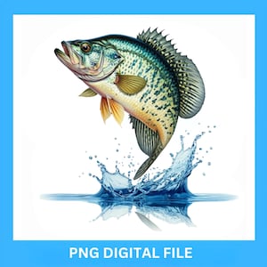 Crappie Fish PNG Digital Design, Crappie Clipart for T-Shirts & Sweatshirts, Angler Gift, Fishing Lover Printable Artwork, Instant Download
