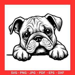 Bulldog SVG PNG, Cute Bulldog Clipart for Cricut & Sublimation, Pet Dog Cutting File, Bulldog Head Illustration, Printable Animal Design