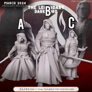 May include: Three gray, pre-supported 3D-printed figures of a hooded warrior with a sword. The figures are in a dynamic pose, with the text "THE LEGENDARY DARK LORD" and "PATREON.COM/DARKFIREDESIGNS" visible. The image also includes the text "MARCH 2024 PRIMARY RELEASE".