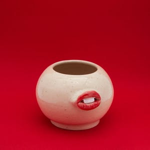 May include: A white ceramic planter shaped like a face with a red, open mouth.