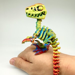 Könnte beinhalten: Ein farbenfrohes, bewegliches Dinosaurier-Skelett-Spielzeug. Das Spielzeug hat einen gelben Kopf, einen blau-grünen Körper und einen rot-orangen Schwanz. Der Dinosaurier wird in einer Hand gehalten.