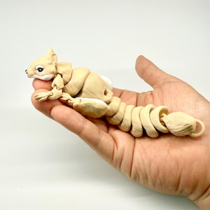 Articulated 3D Printed Squirrel|Flexible Fidget Toy|Poseable Rodent Desk Decor|Eco-Friendly Stress Relief Gift|Nature Inspired Collectible