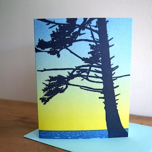 Sitka Spruce Greeting Card, Multi Packs