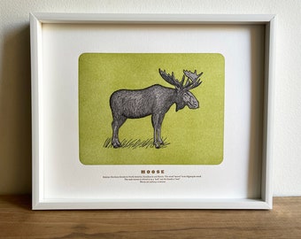 Moose, Letterpress Art Print