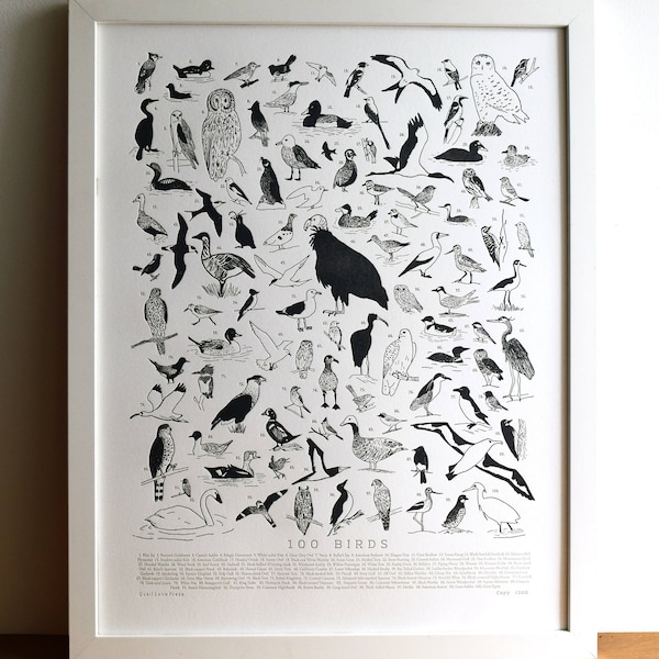 100 Illustrated Birds, Letterpress Art Unframed Print