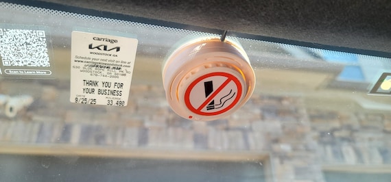 cigarette smoke detector for cars Car Smoke Detector (pair) Faux