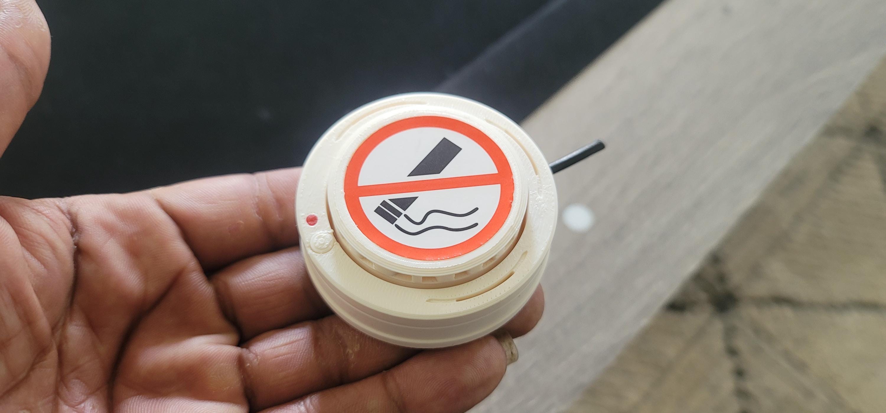 Car Smoke Detector (pair) Faux