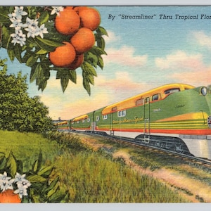 May include: Vintage postcard featuring a green and yellow streamlined train traveling through a Florida landscape. Orange trees with ripe fruit and white blossoms frame the scene. Text reads "By 'Streamliner' Thru Tropical Florida."