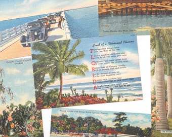 May include: A collection of vintage Florida postcards featuring scenes of a bridge with cars, a turtle crawl, palm trees, and a poem titled Land of a Thousand Charms. The cards display colorful illustrations of cypress gardens, royal palms, and Silver Springs.