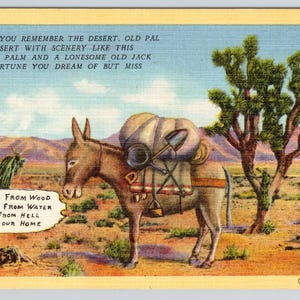 May include: Vintage postcard featuring a brown donkey carrying supplies in a desert landscape with a Joshua tree. Text includes "40 miles from wood" and "God bless our home."