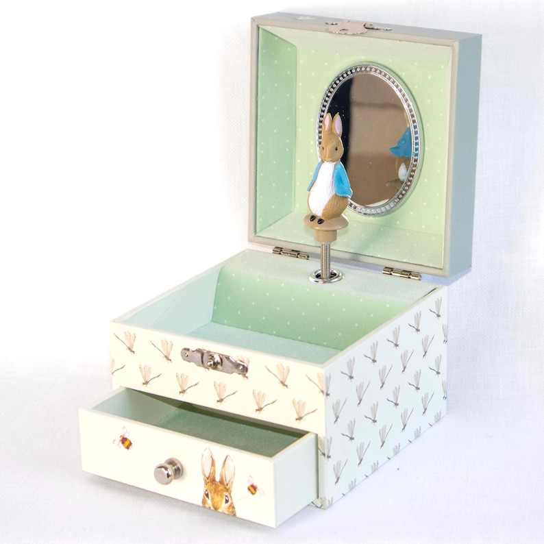 Peter Rabbit Dragonfly Music Box - Etsy
