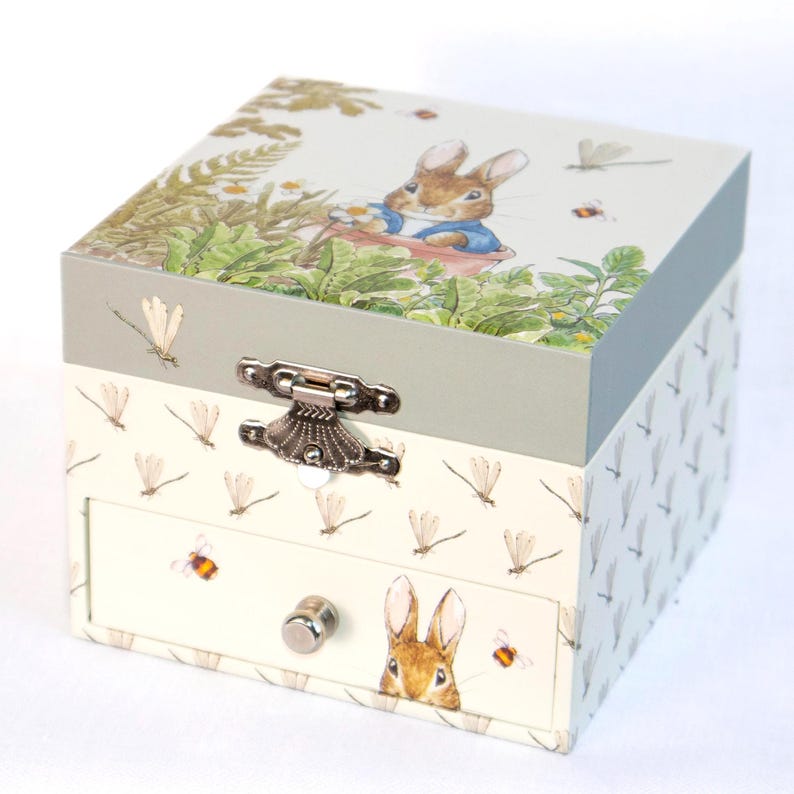 Peter Rabbit Dragonfly Music Box - Etsy