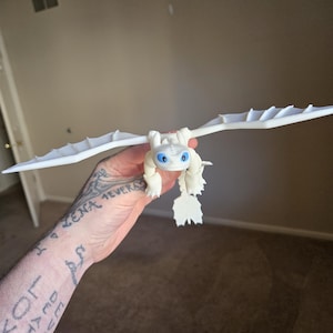 Toothless Dragon