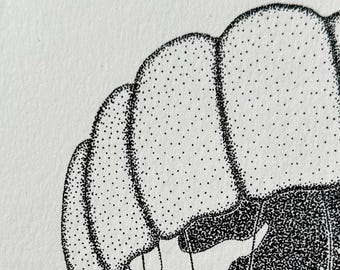 クラゲの点描アート 物理プリント - Etsy 日本