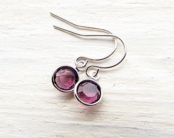 Silver Amethyst Earrings, February Birthstone Jewelry, Dangle Earring with Purple Crystal, Dainty Petite Birth Stones for Her Girls