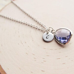Amethyst Pendant with Initial, Silver Amethyst Necklace, February Birthstone Gift for Her, Personalized February Birthday Jewelry, Purple image 1
