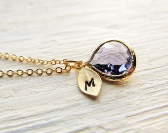 Gold Amethyst Necklace, Initial February Birthstone Jewelry, Personalized February Birthday Gift, Amethyst Jewelry Gift for Women Her Girls