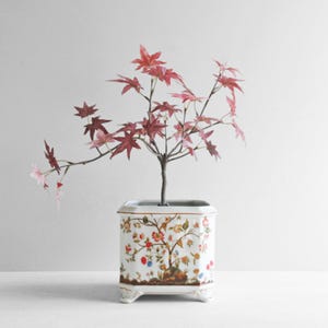 Peut inclure: Une plante artificielle décorative avec des branches fines et des feuilles délicates de style érable rose et rouge, plantée dans un pot en céramique blanc carré orné d'un motif floral et arboré détaillé avec des bordures dorées et quatre pieds.