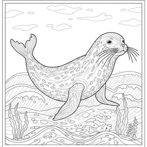 Underwater Explorer: Seal Adventure Coloring Page