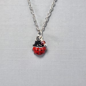 May include: A silver chain necklace with a red and black ladybug charm and a small purple bead.