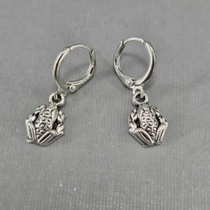 Pode incluir: Um par de brincos de argola de prata com um pingente de sapo pendurado em cada argola.
